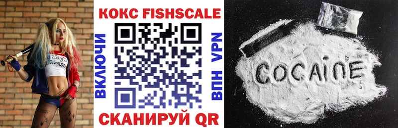 Cocaine Fish Scale где можно купить кракен как войти Димитровград