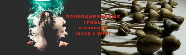 дмт Алексеевка